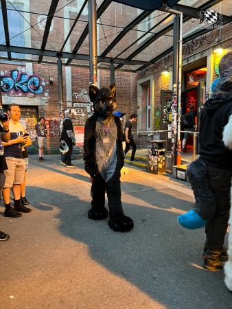 bfd111 von werefox aries bfd111 von werefox aries