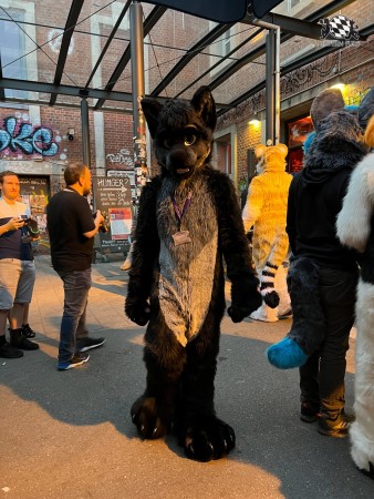 bfd111 von werefox aries bfd111 von werefox aries