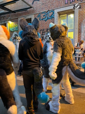 bfd111 von werefox aries bfd111 von werefox aries