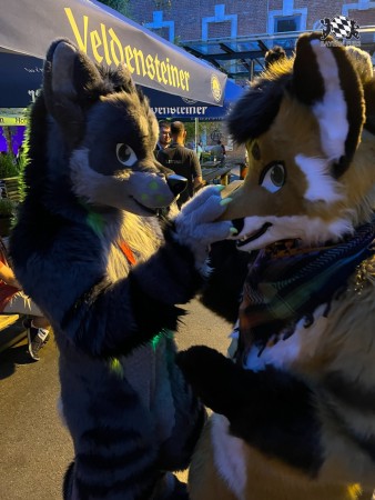 bfd111 von werefox aries bfd111 von werefox aries