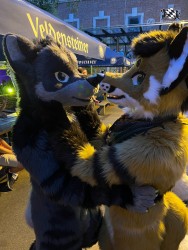 bfd111 von werefox aries bfd111 von werefox aries
