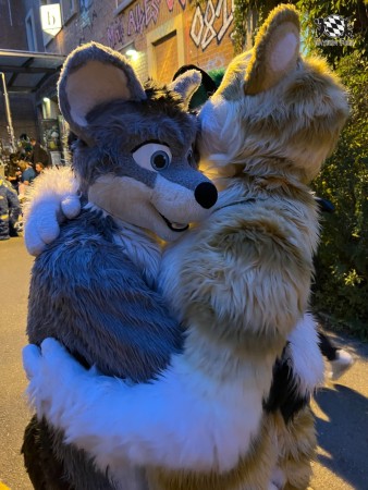 bfd111 von werefox aries bfd111 von werefox aries