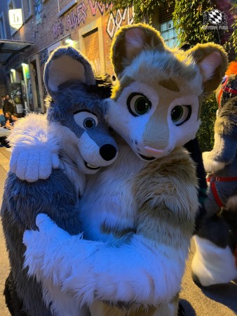 bfd111 von werefox aries bfd111 von werefox aries