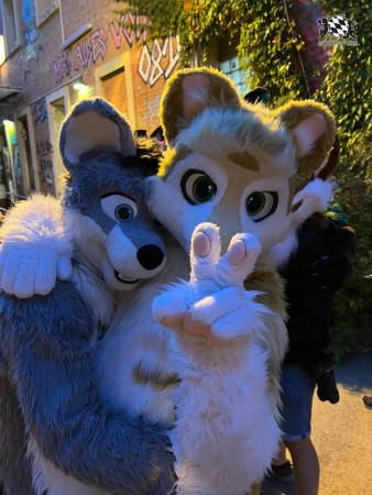 bfd111 von werefox aries bfd111 von werefox aries