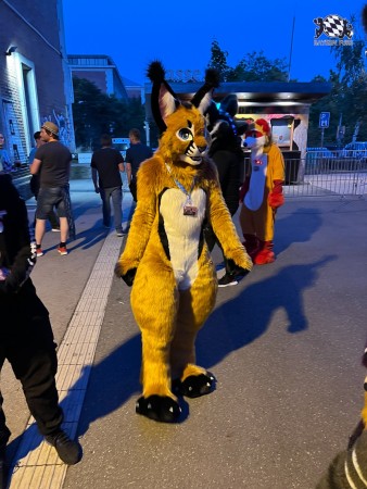 bfd111 von werefox aries bfd111 von werefox aries