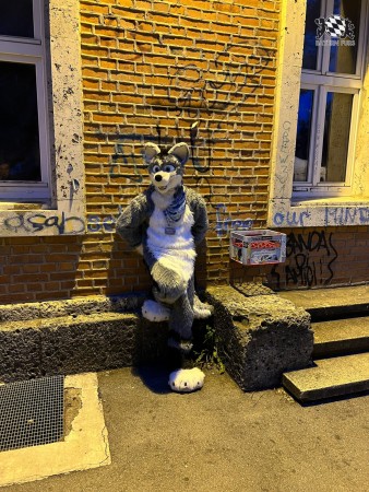 bfd111 von werefox aries bfd111 von werefox aries