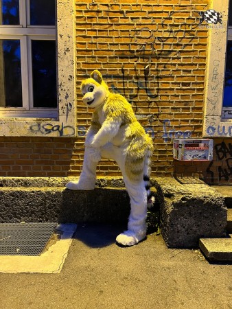 bfd111 von werefox aries bfd111 von werefox aries