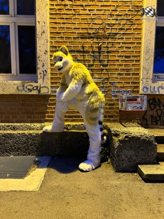 bfd111 von werefox aries bfd111 von werefox aries