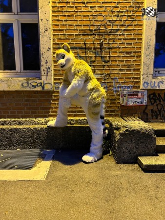 bfd111 von werefox aries bfd111 von werefox aries