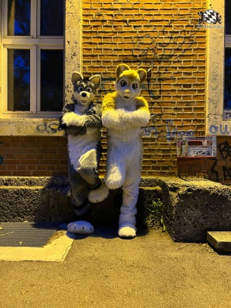 bfd111 von werefox aries bfd111 von werefox aries