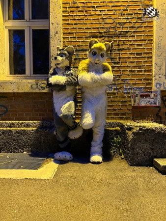 bfd111 von werefox aries bfd111 von werefox aries