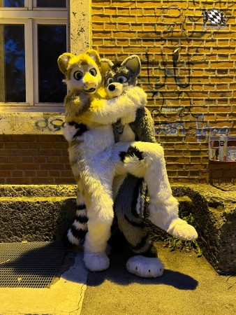 bfd111 von werefox aries bfd111 von werefox aries