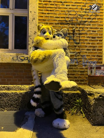 bfd111 von werefox aries bfd111 von werefox aries