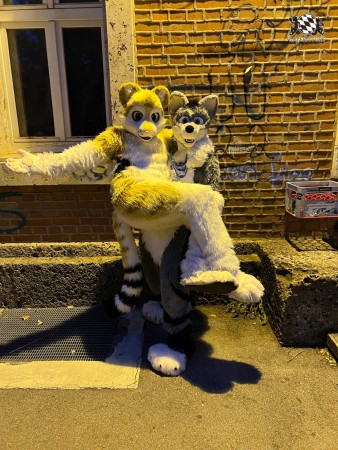 bfd111 von werefox aries bfd111 von werefox aries