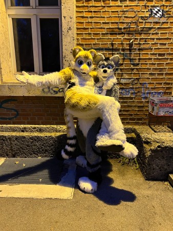 bfd111 von werefox aries bfd111 von werefox aries