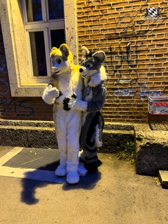 bfd111 von werefox aries bfd111 von werefox aries