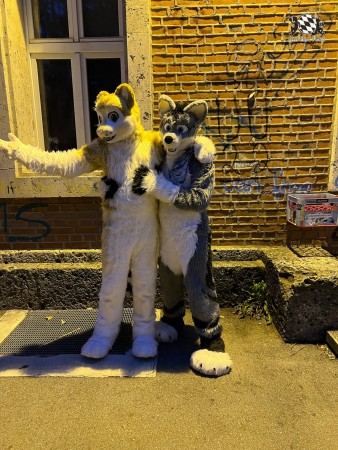 bfd111 von werefox aries bfd111 von werefox aries