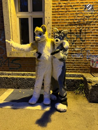 bfd111 von werefox aries bfd111 von werefox aries