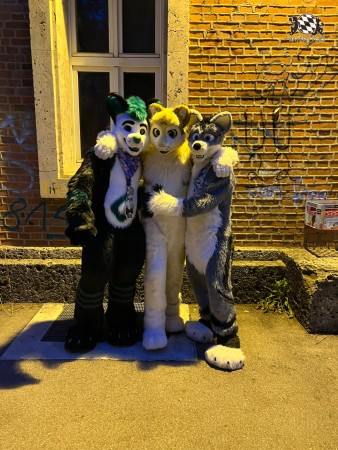 bfd111 von werefox aries bfd111 von werefox aries