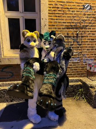 bfd111 von werefox aries bfd111 von werefox aries