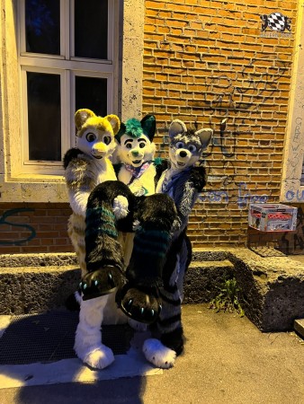 bfd111 von werefox aries bfd111 von werefox aries