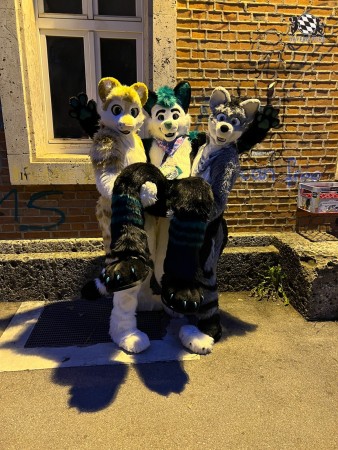 bfd111 von werefox aries bfd111 von werefox aries