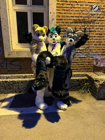 bfd111 von werefox aries bfd111 von werefox aries