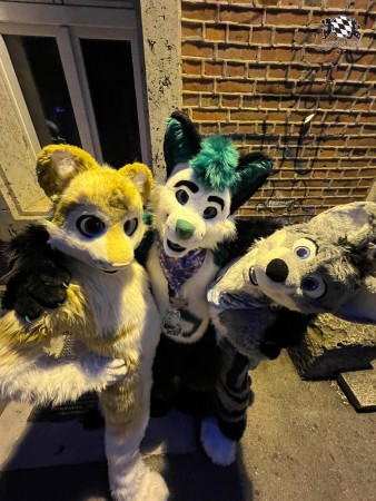 bfd111 von werefox aries bfd111 von werefox aries