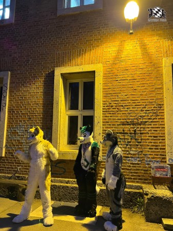 bfd111 von werefox aries bfd111 von werefox aries