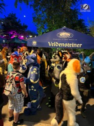 bfd111 von werefox aries bfd111 von werefox aries