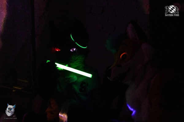 bfd111 0294 von final bfd111 0294 von final