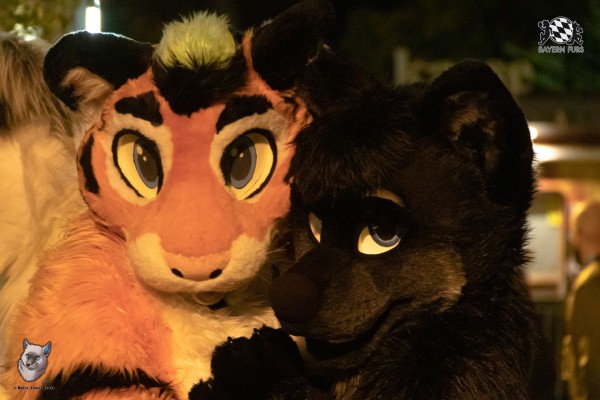 bfd111 0296 von final bfd111 0296 von final