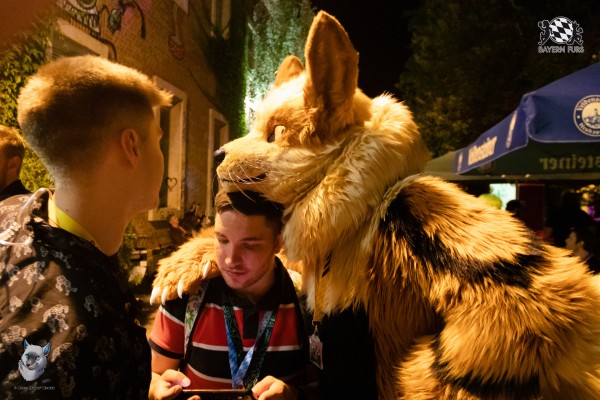 bfd111 0297 von final bfd111 0297 von final