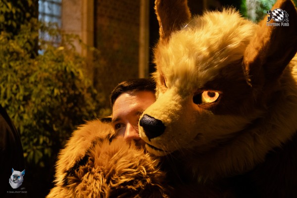 bfd111 0298 von final bfd111 0298 von final