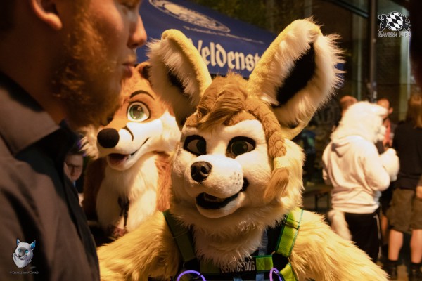 bfd111 0300 von final bfd111 0300 von final