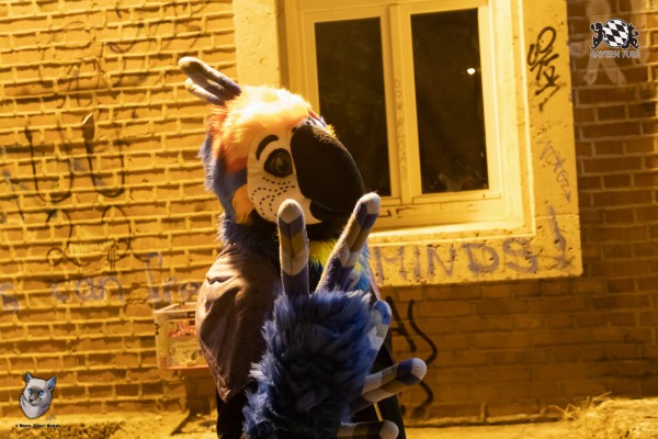 bfd111 0406 von final bfd111 0406 von final