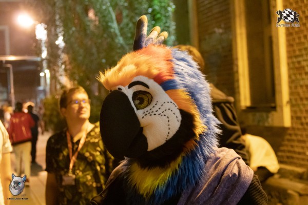 bfd111 0408 von final bfd111 0408 von final