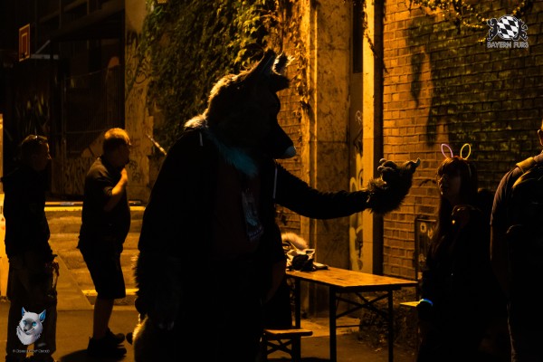 bfd111 0414 von final bfd111 0414 von final