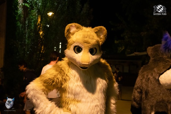 bfd111 0428 von final bfd111 0428 von final