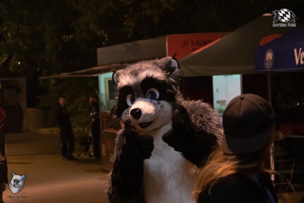 bfd111 0429 von final bfd111 0429 von final