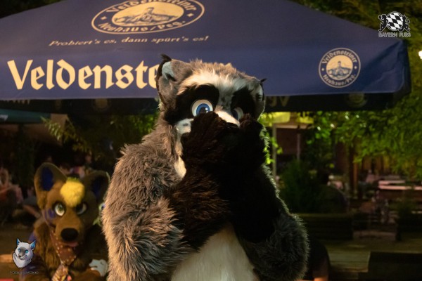 bfd111 0430 von final bfd111 0430 von final