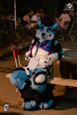 bfd111 0431 von final bfd111 0431 von final