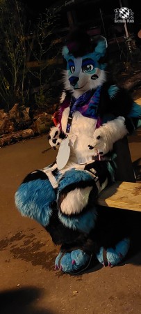 bfd111 von klimbim bfd111 von klimbim