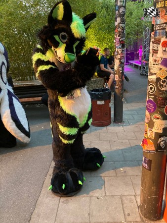 bfd111 von thana bfd111 von thana