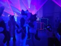 bfd12 von suro bfd12 von suro