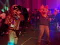 bfd12 von tenzo bfd12 von tenzo