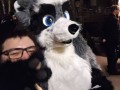 bfd12 von suro bfd12 von suro
