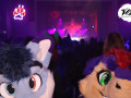 bfd15 von fotobox