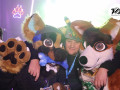 bfd15 von fotobox