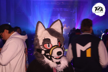 bfd15 von fotobox